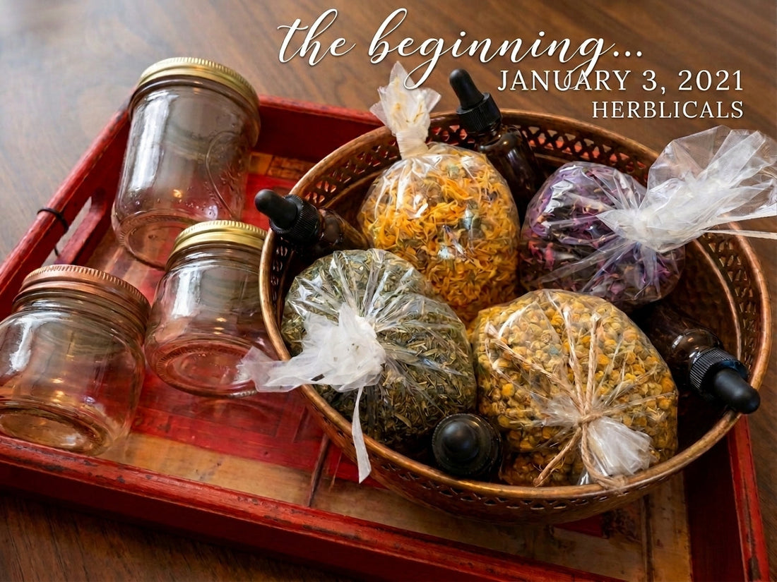 Herblicals: Where Ancient Biblical Herbs Meet Modern Holistic Wellness
